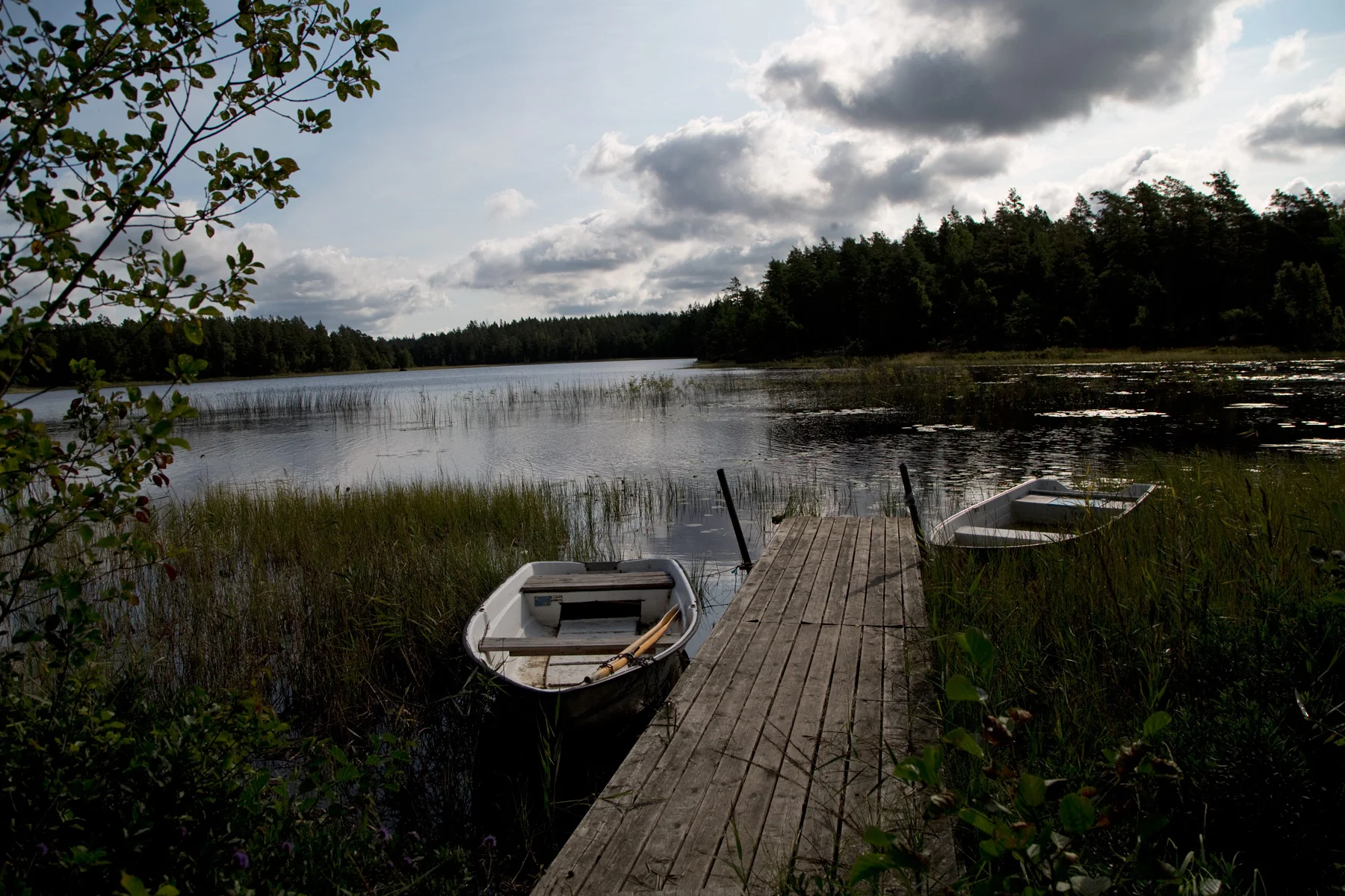 Schweden - Zwischen Elchen und roten Häuschen